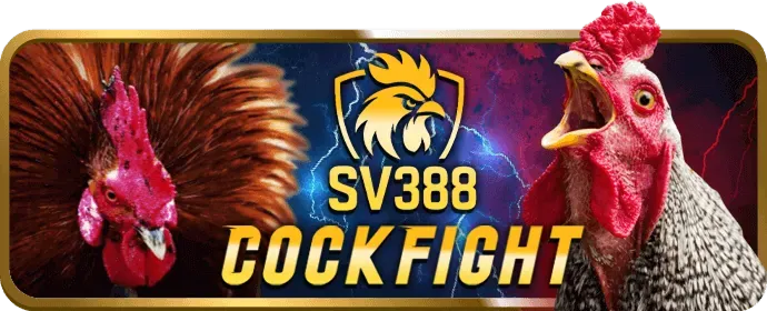 Các khuyến mãi đặc biệt khác từ A8BET APP